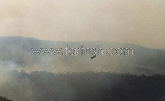 تفاؤل حذر.. فرق الإطفاء تسيطر على ثلثي الحريق في الكرمل   صورة رقم 12