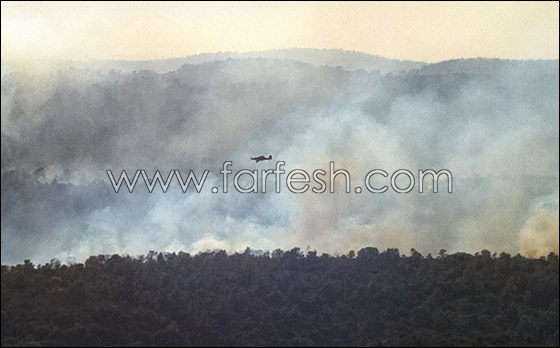 الشرطة: اهمال المواطنين هو السبب لاندلاع حريق الكرمل  صورة رقم 3