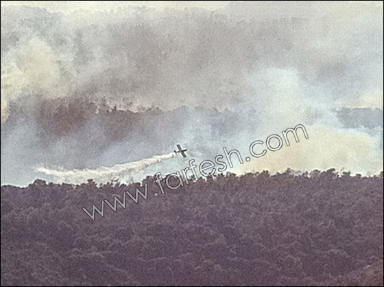 الشرطة: اهمال المواطنين هو السبب لاندلاع حريق الكرمل  صورة رقم 4