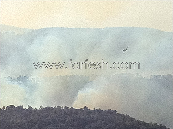 الشرطة: اهمال المواطنين هو السبب لاندلاع حريق الكرمل  صورة رقم 5