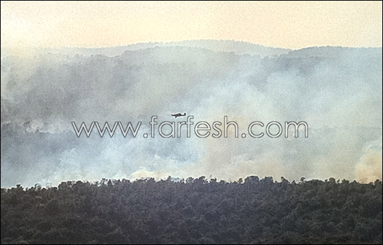 تفاؤل حذر.. فرق الإطفاء تسيطر على ثلثي الحريق في الكرمل   صورة رقم 8