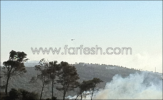 تفاؤل حذر.. فرق الإطفاء تسيطر على ثلثي الحريق في الكرمل   صورة رقم 7