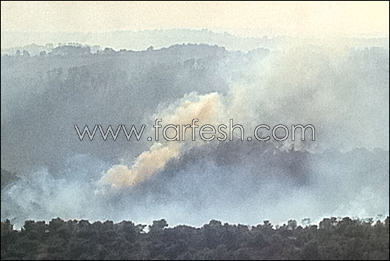 تفاؤل حذر.. فرق الإطفاء تسيطر على ثلثي الحريق في الكرمل   صورة رقم 3