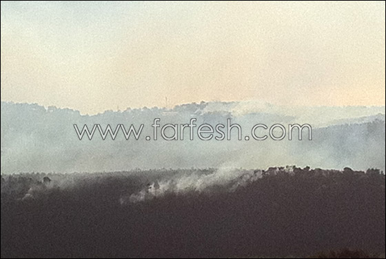 تفاؤل حذر.. فرق الإطفاء تسيطر على ثلثي الحريق في الكرمل   صورة رقم 4