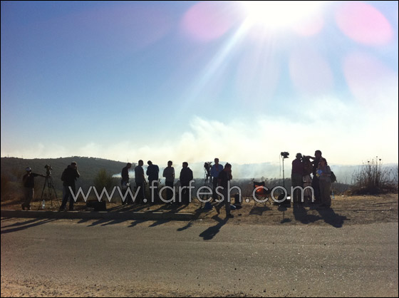 الشرطة: اهمال المواطنين هو السبب لاندلاع حريق الكرمل  صورة رقم 6