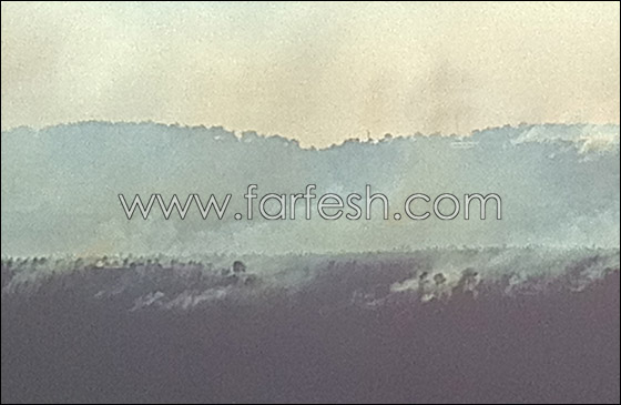 تفاؤل حذر.. فرق الإطفاء تسيطر على ثلثي الحريق في الكرمل   صورة رقم 6