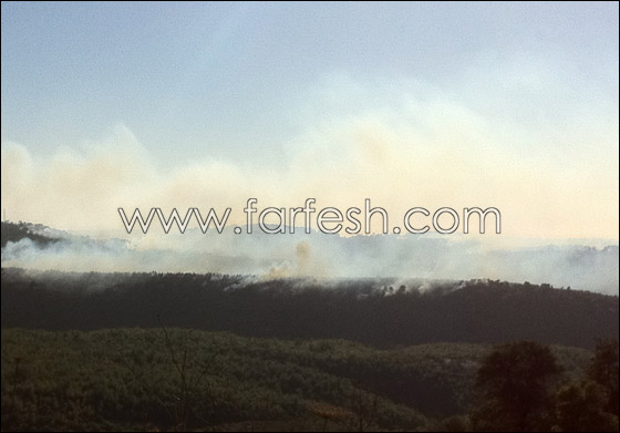 تفاؤل حذر.. فرق الإطفاء تسيطر على ثلثي الحريق في الكرمل   صورة رقم 2