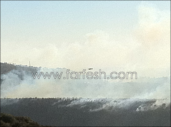 تفاؤل حذر.. فرق الإطفاء تسيطر على ثلثي الحريق في الكرمل   صورة رقم 1