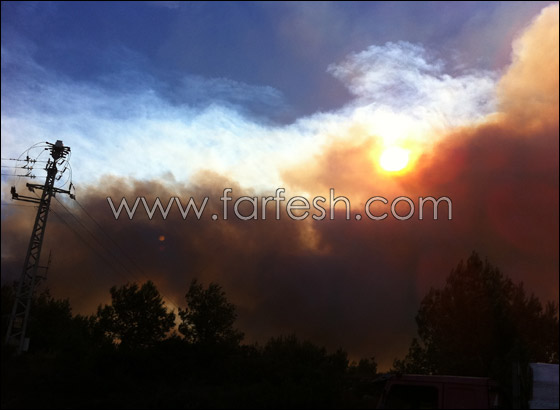 كارثة الكرمل تستقطب الناس لالتقاط صور تذكارية!  صورة رقم 1