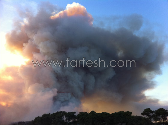 كارثة الكرمل تستقطب الناس لالتقاط صور تذكارية!  صورة رقم 16