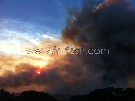 كارثة الكرمل تستقطب الناس لالتقاط صور تذكارية!  صورة رقم 14