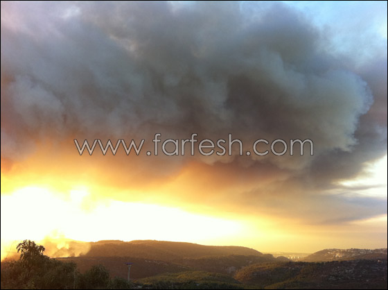 كارثة الكرمل تستقطب الناس لالتقاط صور تذكارية!  صورة رقم 11