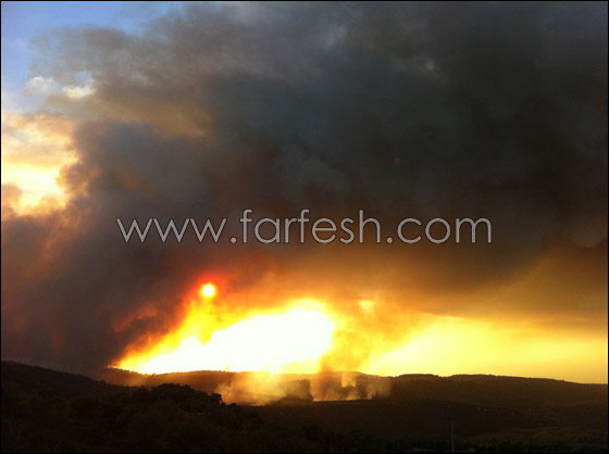 كارثة الكرمل تستقطب الناس لالتقاط صور تذكارية!  صورة رقم 5