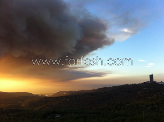 كارثة الكرمل تستقطب الناس لالتقاط صور تذكارية!  صورة رقم 9