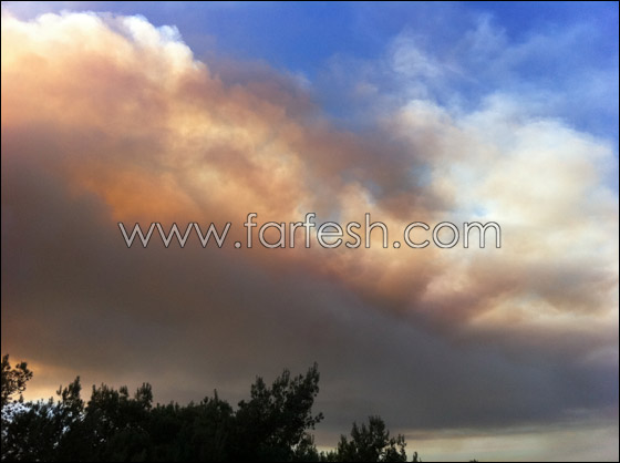 كارثة الكرمل تستقطب الناس لالتقاط صور تذكارية!  صورة رقم 7