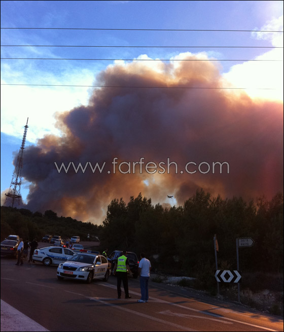 كارثة الكرمل تستقطب الناس لالتقاط صور تذكارية!  صورة رقم 10