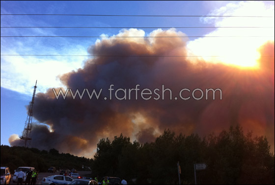 كارثة الكرمل تستقطب الناس لالتقاط صور تذكارية!  صورة رقم 3