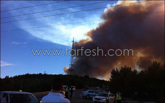 كارثة الكرمل تستقطب الناس لالتقاط صور تذكارية!  صورة رقم 6