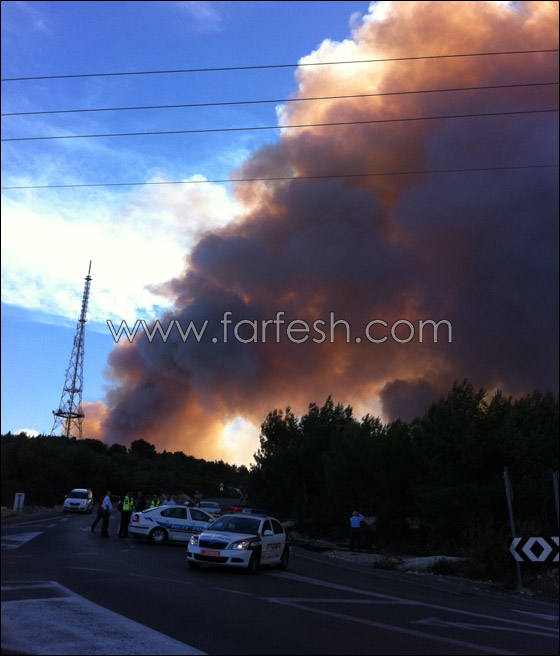 كارثة الكرمل تستقطب الناس لالتقاط صور تذكارية!  صورة رقم 13