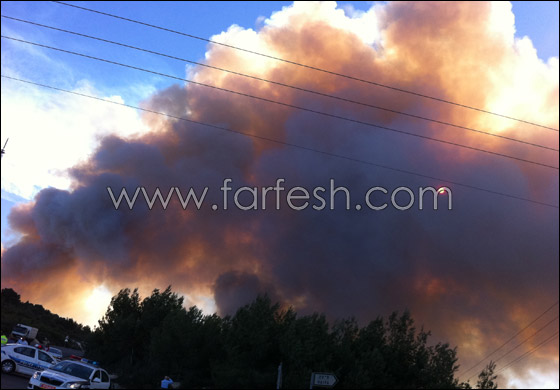 كارثة الكرمل تستقطب الناس لالتقاط صور تذكارية!  صورة رقم 8