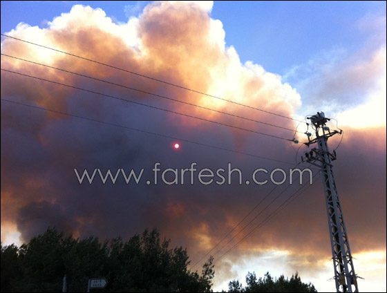 كارثة الكرمل تستقطب الناس لالتقاط صور تذكارية!  صورة رقم 4