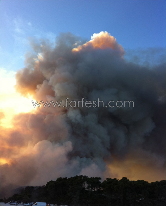 كارثة الكرمل تستقطب الناس لالتقاط صور تذكارية!  صورة رقم 2