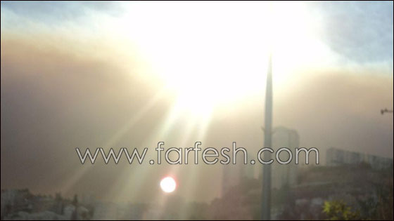 بالصور.. هكذا بدأ الحريق في الكرمل!  صورة رقم 2