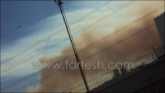 بالصور.. هكذا بدأ الحريق في الكرمل!  صورة رقم 10