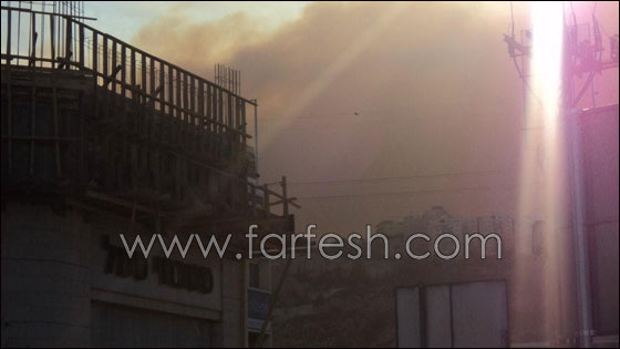 بالصور.. هكذا بدأ الحريق في الكرمل!  صورة رقم 9