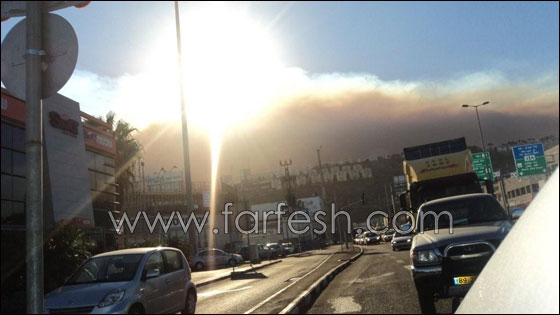 بالصور.. هكذا بدأ الحريق في الكرمل!  صورة رقم 12