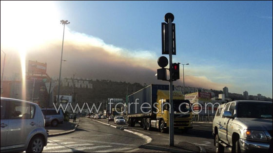 بالصور.. هكذا بدأ الحريق في الكرمل!  صورة رقم 3