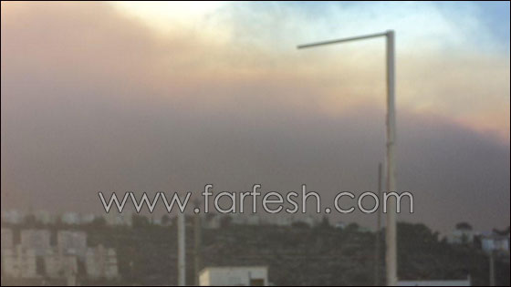 بالصور.. هكذا بدأ الحريق في الكرمل!  صورة رقم 11