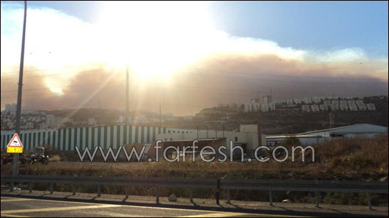 بالصور.. هكذا بدأ الحريق في الكرمل!  صورة رقم 5