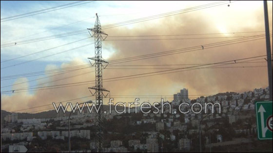 بالصور.. هكذا بدأ الحريق في الكرمل!  صورة رقم 13
