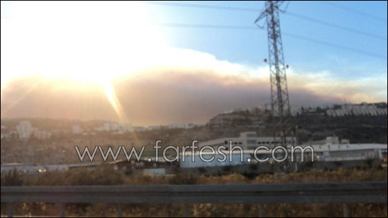 بالصور.. هكذا بدأ الحريق في الكرمل!  صورة رقم 4