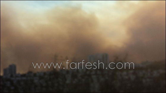 بالصور.. هكذا بدأ الحريق في الكرمل!  صورة رقم 8