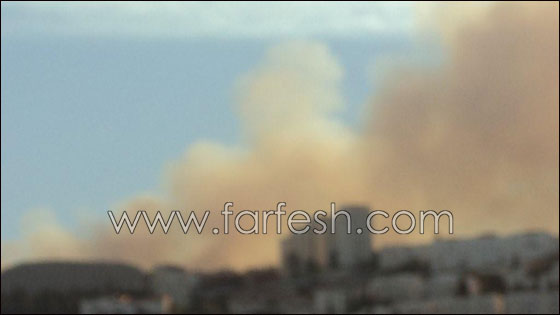 بالصور.. هكذا بدأ الحريق في الكرمل!  صورة رقم 6