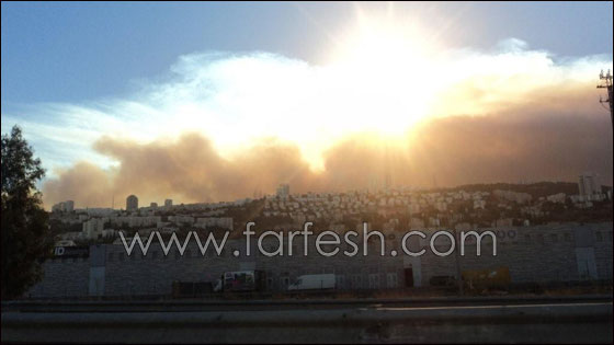 بالصور.. هكذا بدأ الحريق في الكرمل!  صورة رقم 7