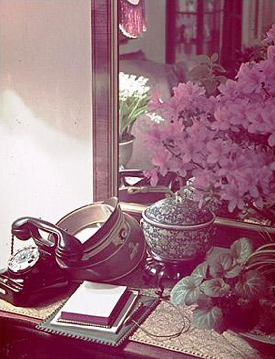 الكشف عن مئات الصور الشخصية لهتلر في مزاد علني! صورة رقم 16 الكشف عن مئات الصور الشخصية لهتلر في مزاد علني! صورة رقم 16