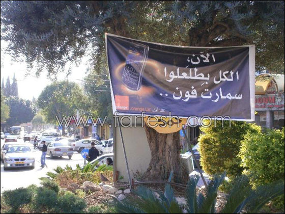 من اليوم كمان انت بيطلعلك سمارتفون من orange صورة رقم 20 من اليوم كمان انت بيطلعلك سمارتفون من orange صورة رقم 20