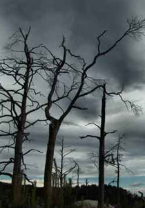 عاصفة امطار تجتاح البلاد وتحذيرات من حدوث فيضانات! صورة رقم 1