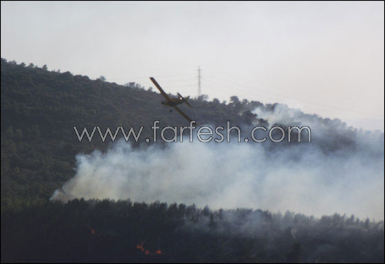اوباما يشكر اردوجان على مساعدته لاسرائيل في حريق الكرمل! صورة رقم 1