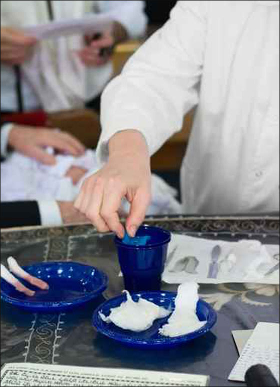 سويسرا.. ختان الاناث جريمة يعاقب عليها القانون! صورة رقم 1