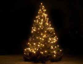 التوتر بين الكوريتين آخذ في الازدياد والسبب.. شجرة الميلاد! صورة رقم 1