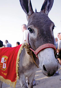 عائلة عراقية تطالب اميركا بـ30 الف دولار للتخلي عن 