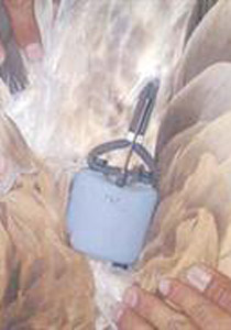 السعودية: اصطياد طائر جارح غريب.. داخل جسمه جهاز اسرائيلي صورة رقم 1