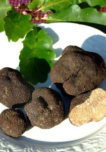 حروب ومنافسات وقتل في فرنسا بسبب.. الماسة السوداء! صورة رقم 1