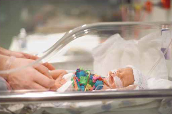 عثور عامل نظافة على جنين في مرحاض طائرة فليبينية! صورة رقم 1