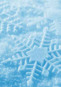 العالم يتجه إلى عصر جليدي مدمّر!! صورة رقم 1