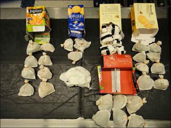 القبض على يابانيين حاولا تهريب 50 سلحفاة نادرة في علب بسكويت! صورة رقم 3